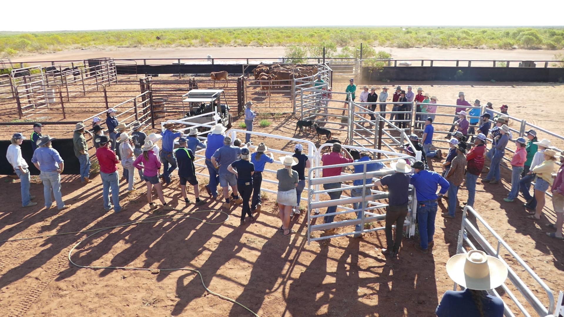 2022 KPCA Livestock Handling Cup Wrap Up